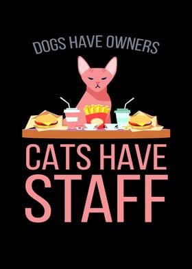 Cats Have Staff