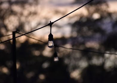 hanging lightbulb