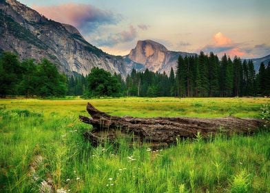 Green Field with Mountain