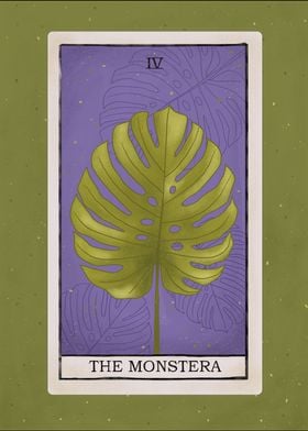 Monstera plant tarot card