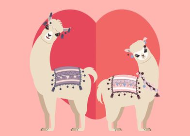 Llama and Alpaca love