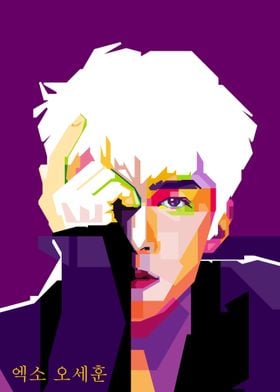 Sehun EXO Art Project