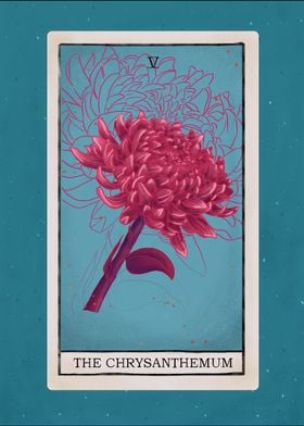 Chrysanthemum tarot card