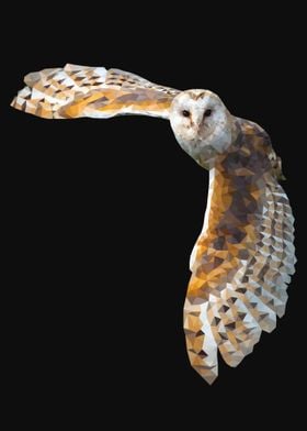 Isometric barn owl