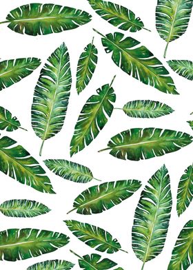 Tropical composition VI