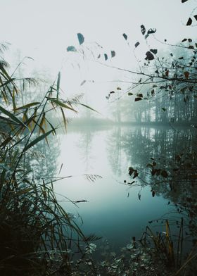 Lake and Nature