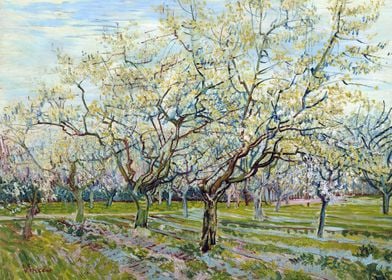 Van Gogh The White Orchard