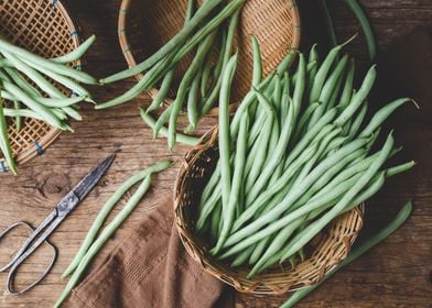 Fresh French bean