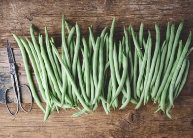 Fresh French bean