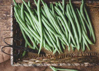 Fresh French bean