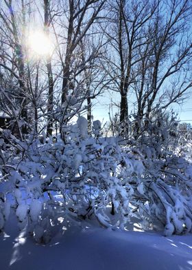 Cold winter morning