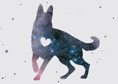 German shepherd Nebula 