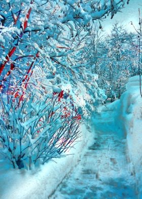 Winters path