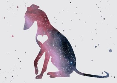 Whippet Nebula 