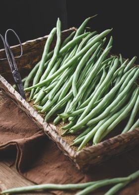 Fresh French bean