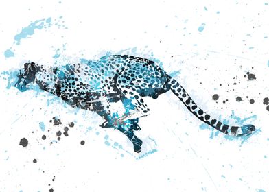 Cheetah running 