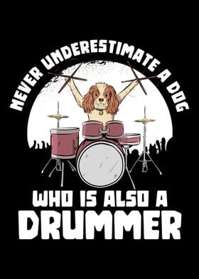 Drummer dog