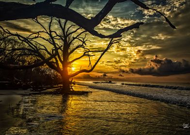 Botany Bay South Carolina