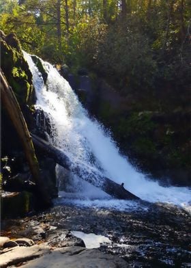 Great Smoky Mountains