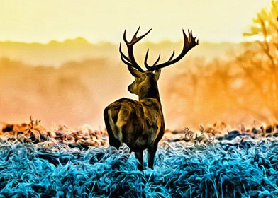 Deer Sunshine Illustration