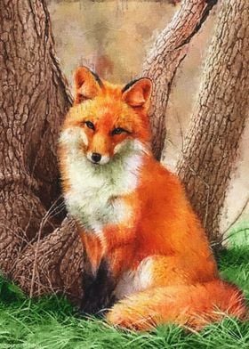 Fox in the tree