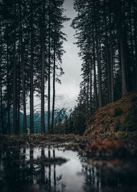 Mountain landscape