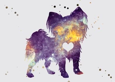 Papilon dog Nebula 