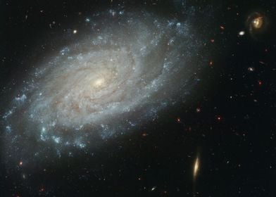 Dusty Spiral NGC 3370