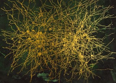 Cortical Neurons 