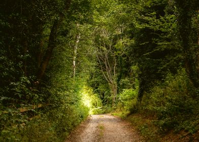 Suffolk Landscape