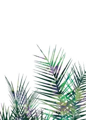 Palm leaves 