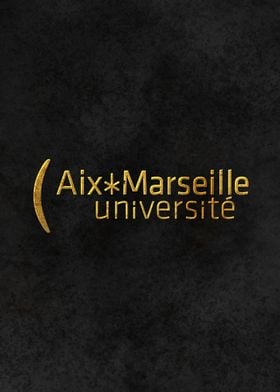 Aix Marseille University