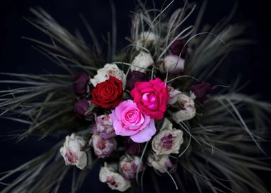 Dark Roses