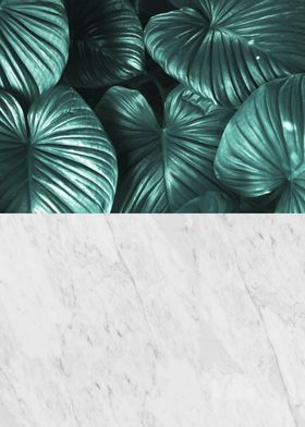 Minimalist botanical IV