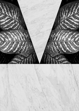 Minimalist botanical X