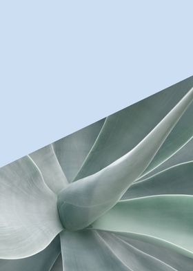 Minimalist botanical VII