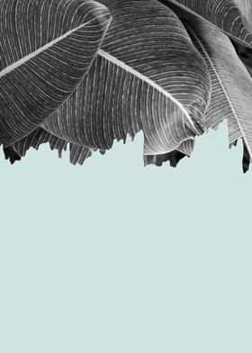 Minimalist botanical I