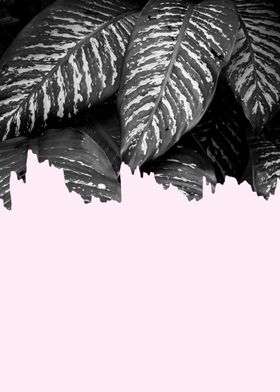 Minimalist botanical XII