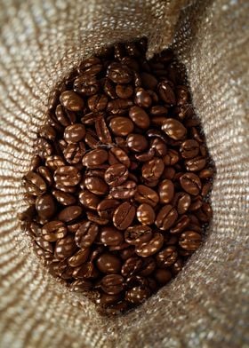 Coffee grain