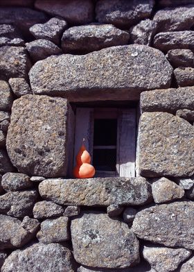 Old Window 