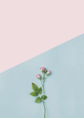Minimalist botanical XI