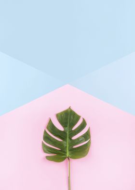 Minimalist botanical XV