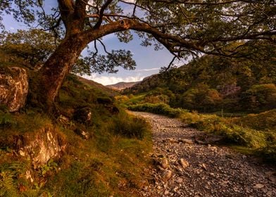 Path to Snowdon