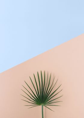 Minimalist botanical XVII