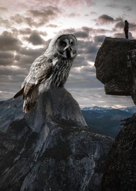 Giant Owl in mountains