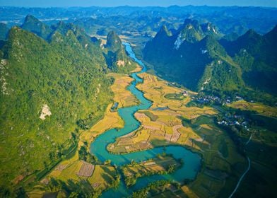 Mountainous rice fields