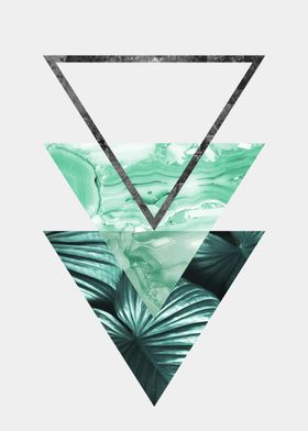 botanical polygon VIII