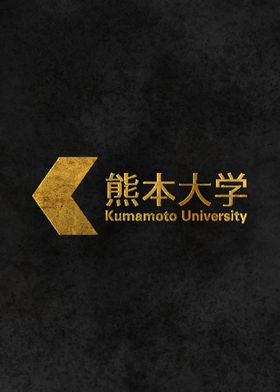 Kumamoto University Japan