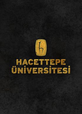 Hacettepe University TUR