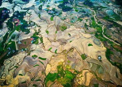 Rice terraces in Lao Cai